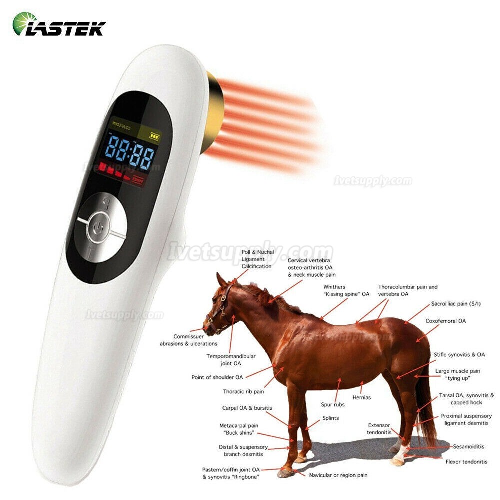 Veterinary Use Animals Clinic Pets Dogs Cats Horses 808nm Laser Therapy Device